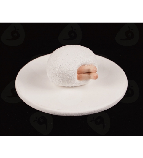 Kanako Ozawa 小澤香奈子 well…what is your name